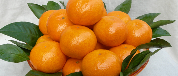 蜜桔5斤起包邮